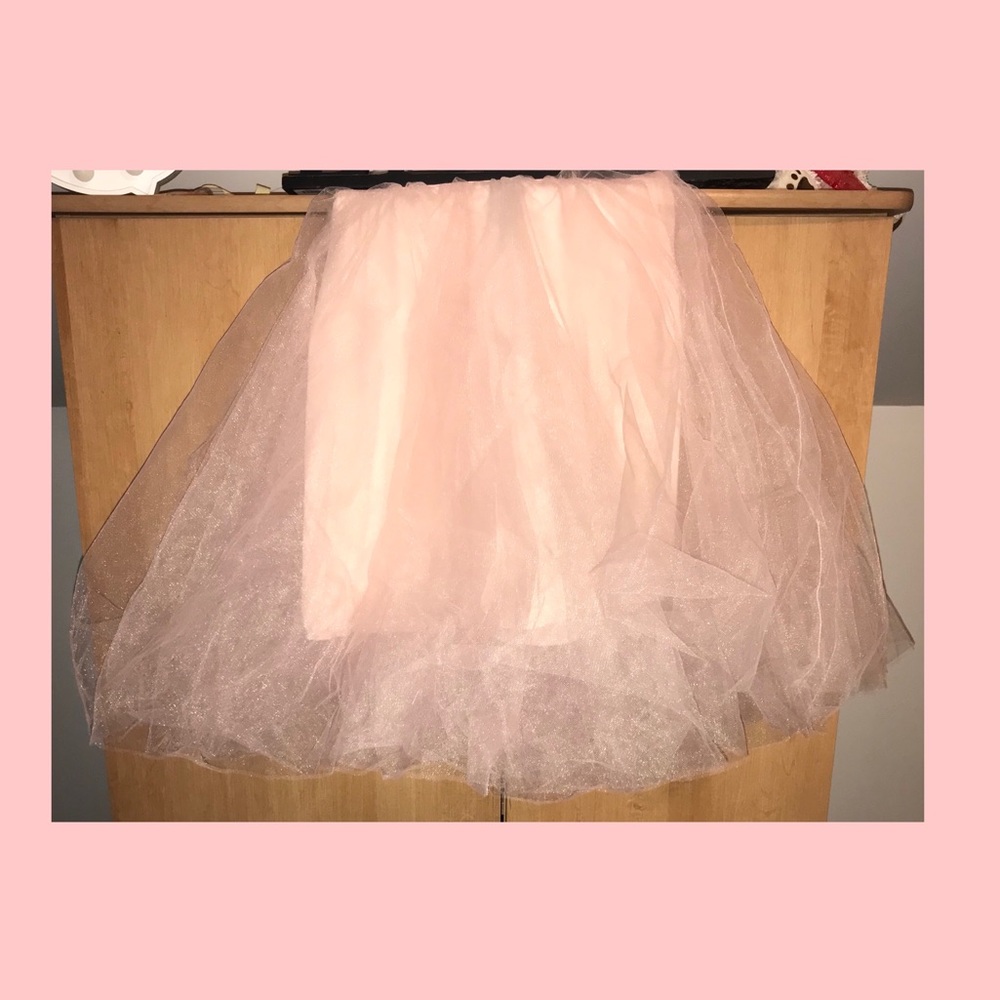 Adult Pink Tutu